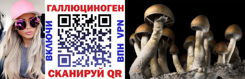 Псилоцибиновые грибы прущие грибы  наркошоп  Челябинск 
