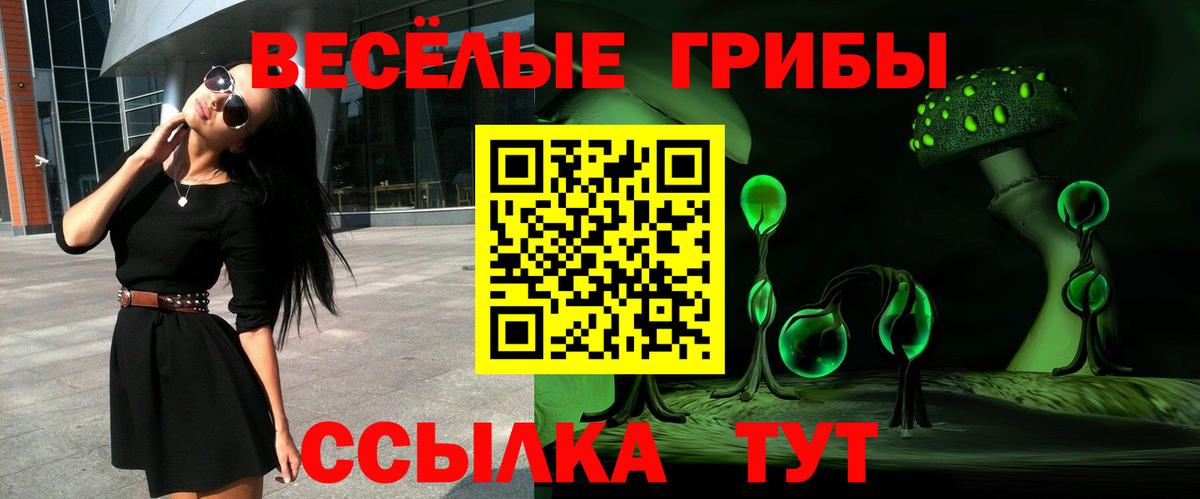 Челябинск  Псилоцибиновые грибы ЛСД  Вход с VPN 