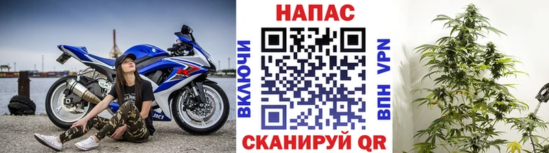 Канабис OG Kush  Челябинск 